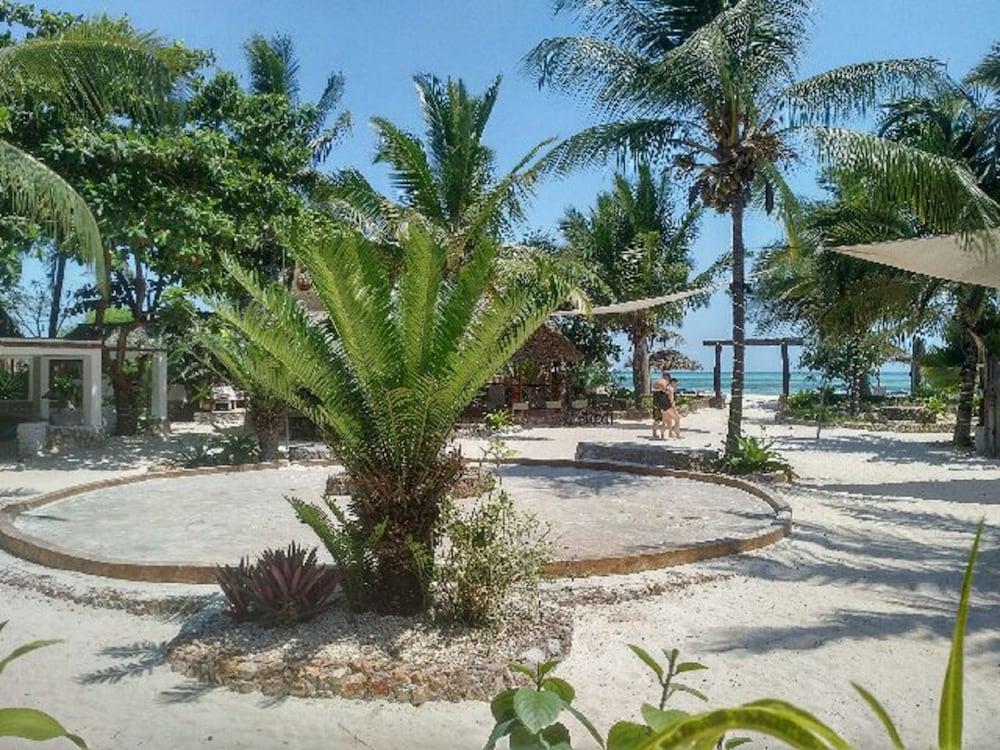 Waikiki Zanzibar Resort - Property Grounds