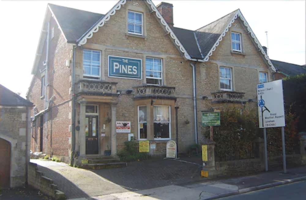 The Pines Guest Accommodation - Featured Image