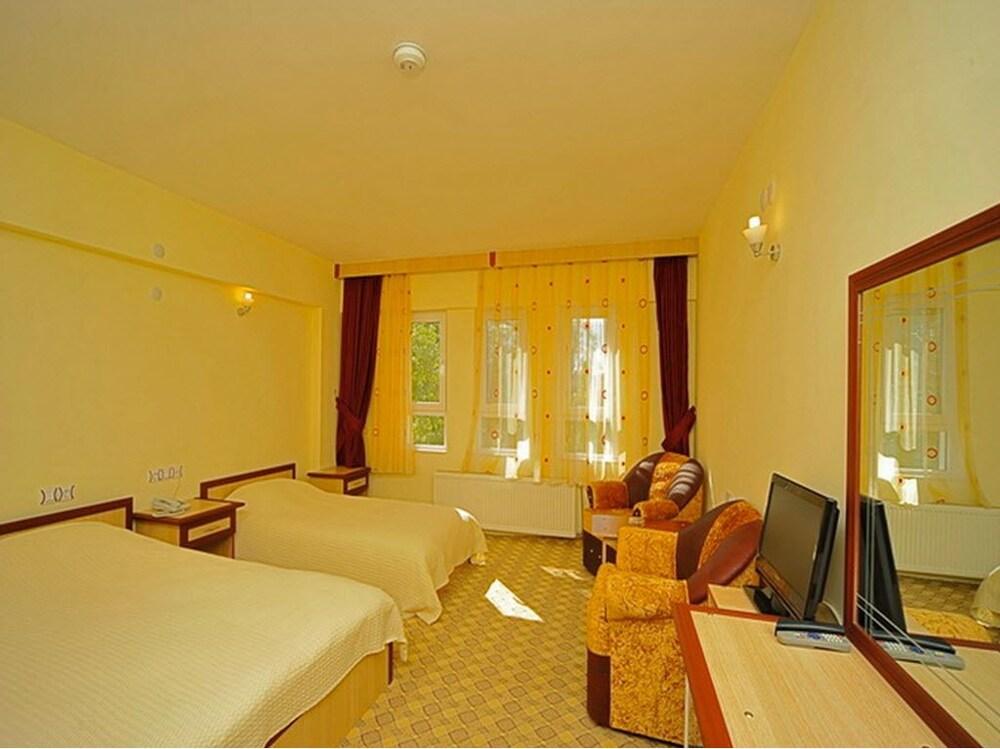 Baskent Demiralan Hotel - Room