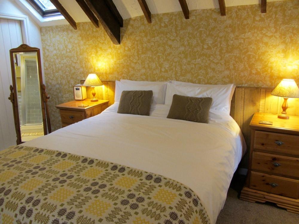 BRYNARTH COUNTRY GUEST HOUSE - Guestroom