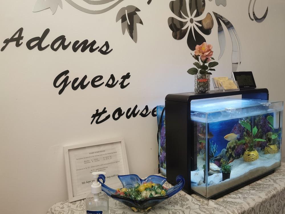 Adams Guest House - Reception