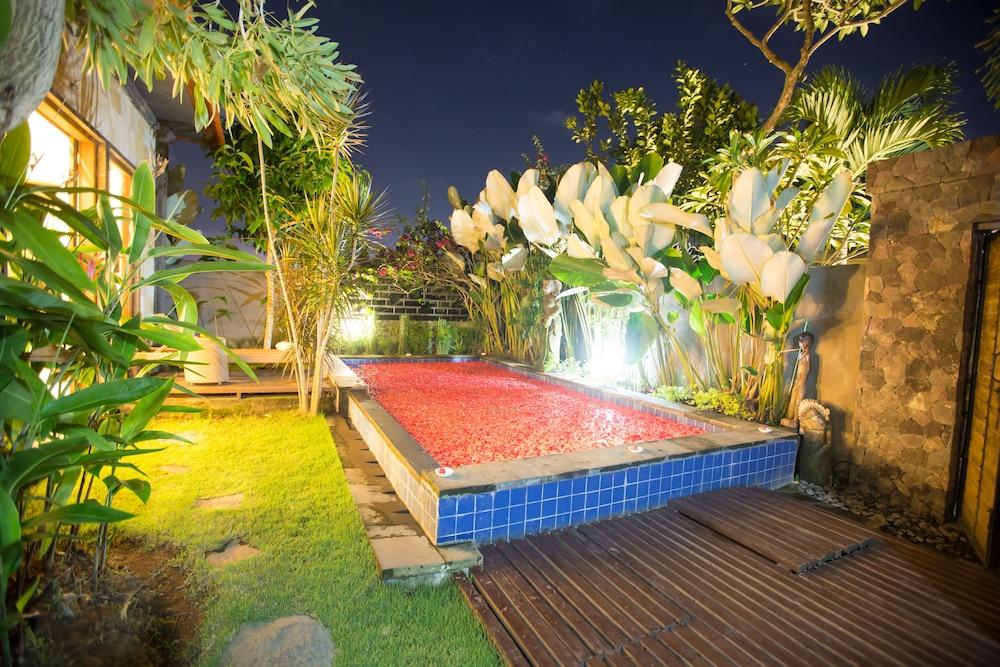 Asri Sari Resort Ubud - Pool