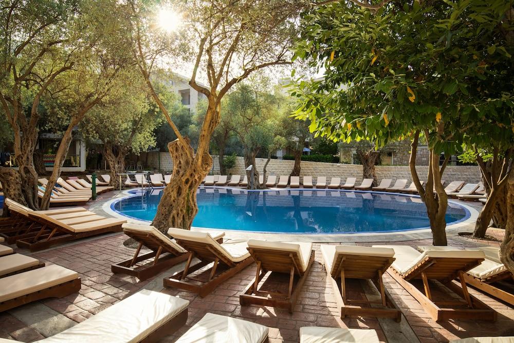 Vile Oliva Hotel & Resort - Pool