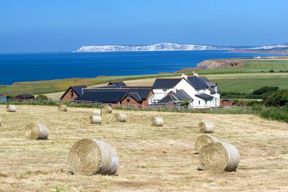 Chale Bay Farm - Featured Image