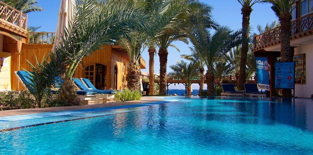 Acacia Dahab Hotel - Outdoor Pool