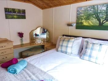 Bluebell Lodge - Guestroom