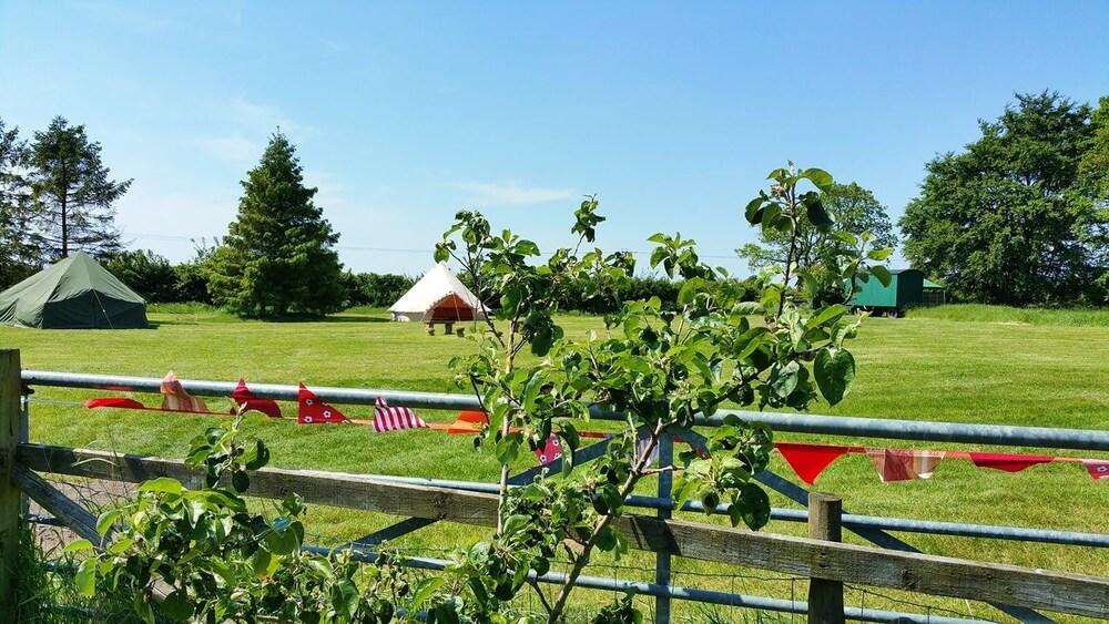 Glamping Thorpe - Property Grounds