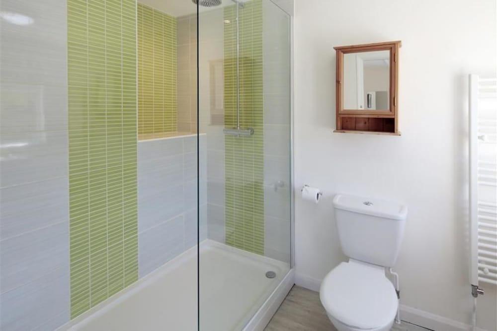 Green Door - Upper Tregudda - Bathroom