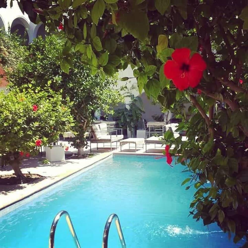 Hotel Arisha - Outdoor Pool