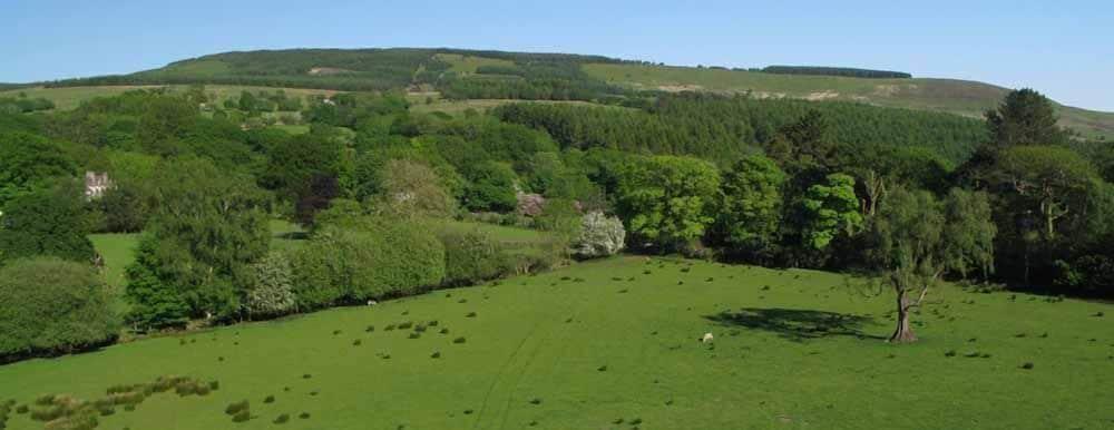 Swansea Valley Holiday Cottages - Property Grounds