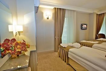 Laleli Emin Hotel - Room