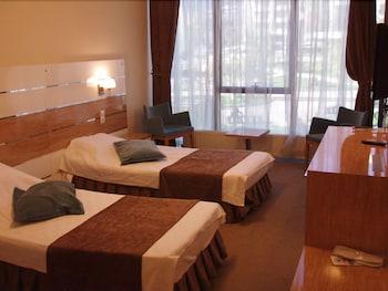 Yesil Yildirim Hotel - Guestroom