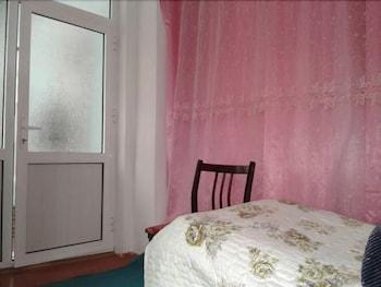 Ilgars Guesthouse - Guestroom