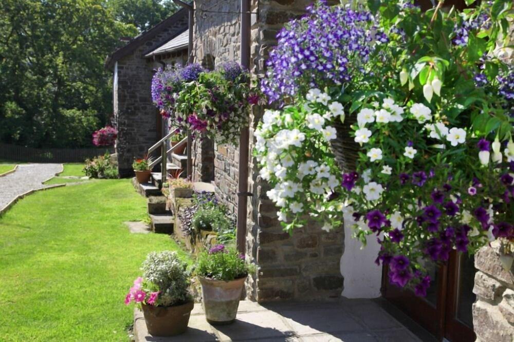 Birchill Farm Holiday Cottages - Property Grounds