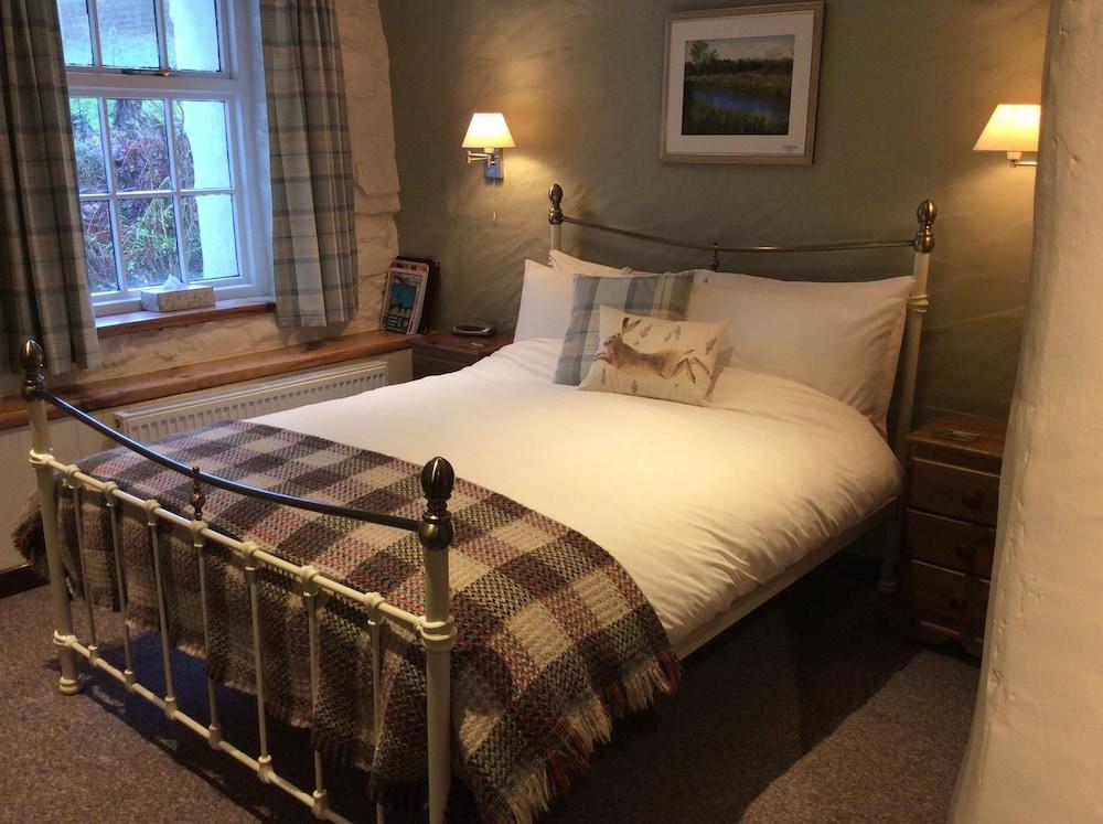 BRYNARTH COUNTRY GUEST HOUSE - Guestroom
