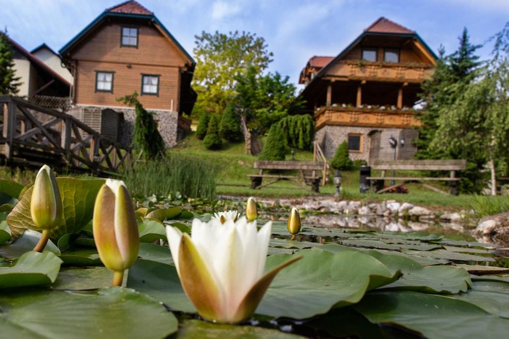 Apartments and wellness center Korošec - Featured Image