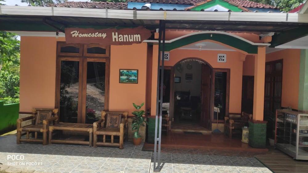 Homestay Hanum - Featured Image