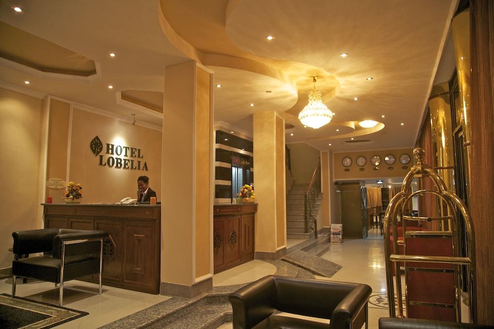 Hotel Lobelia - Lobby