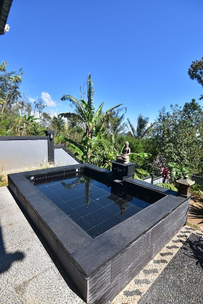 Wanagiri Cosmic Nature Villa - Outdoor Pool