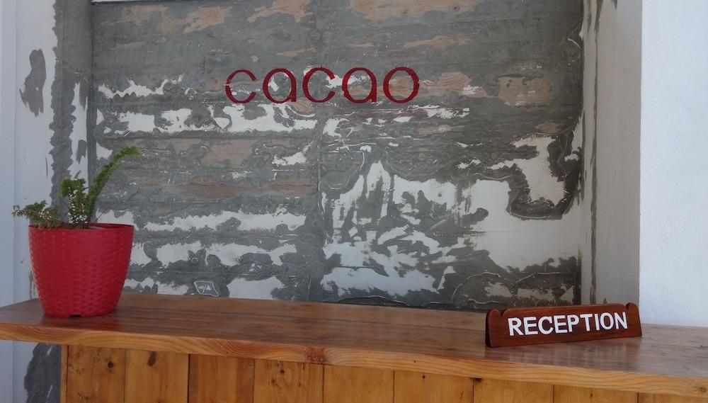 Cacao - Reception
