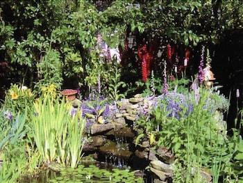 Harrogate Cottage - Garden