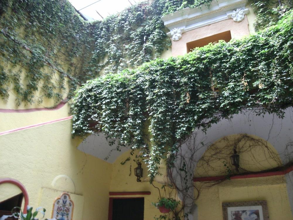 Hotel Casa del Callejon - Exterior detail
