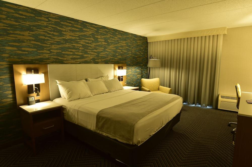 فندق راديسون شلالات نياجرا - جراند أيلاند - Room
