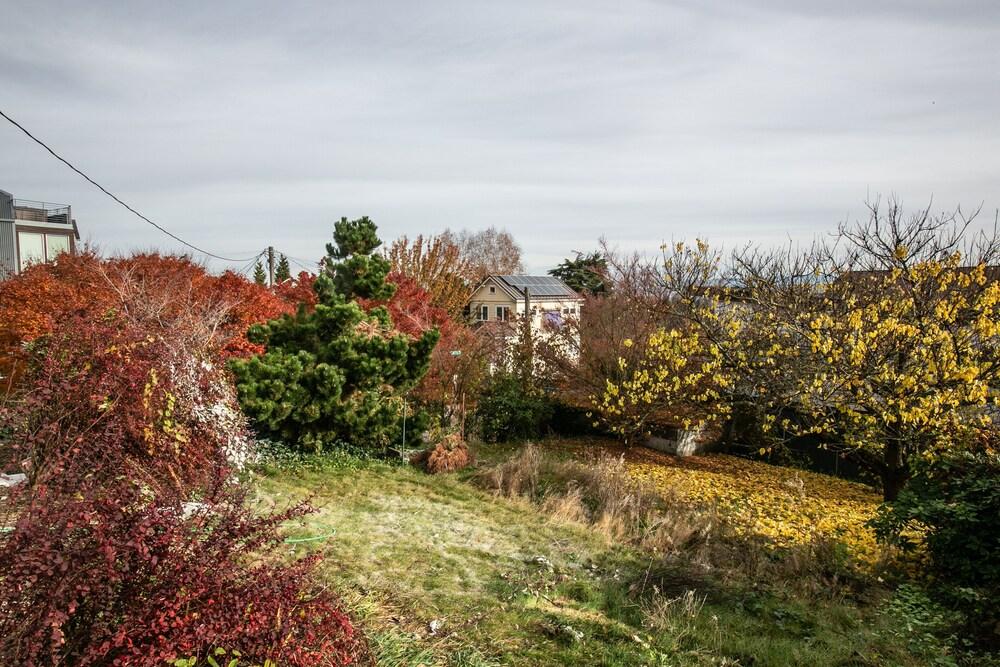Arboretum View- Evergreen - Featured Image