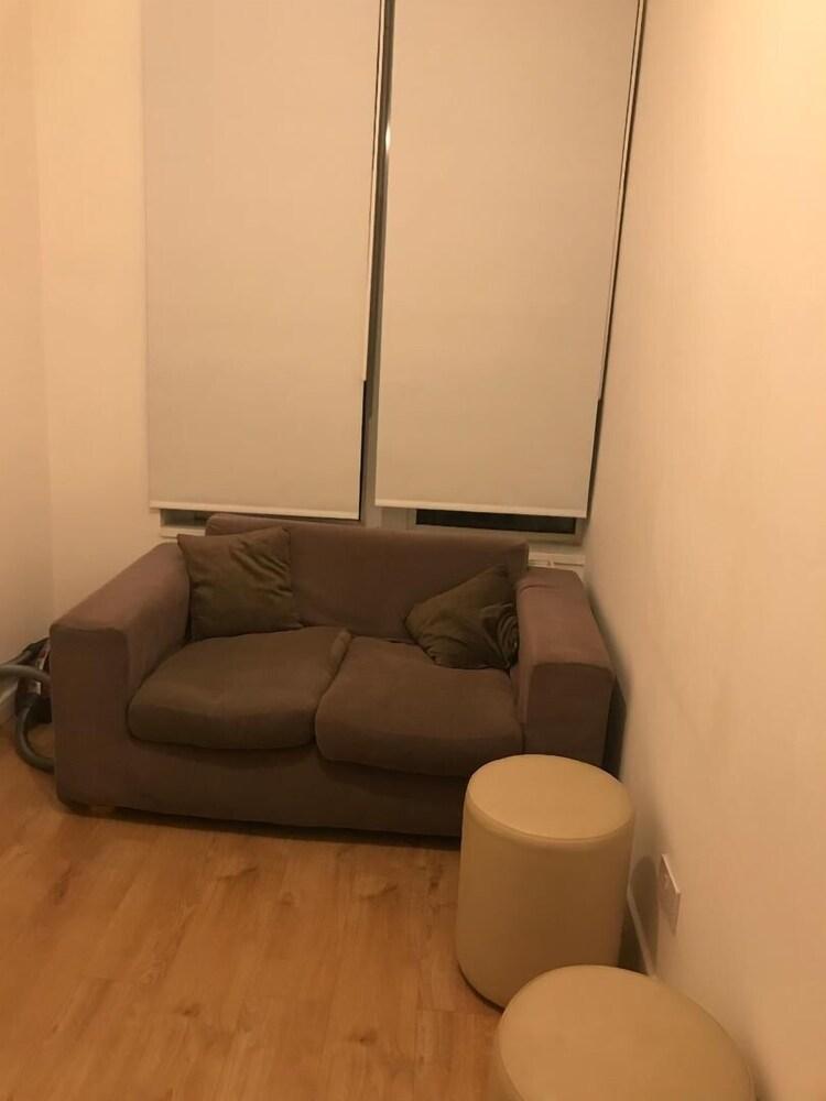 Two Bedroom Apartment Roath Park Cardiff - Living Area