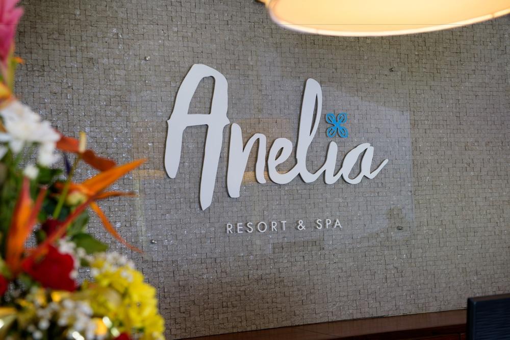 Anelia Resort & Spa - Reception