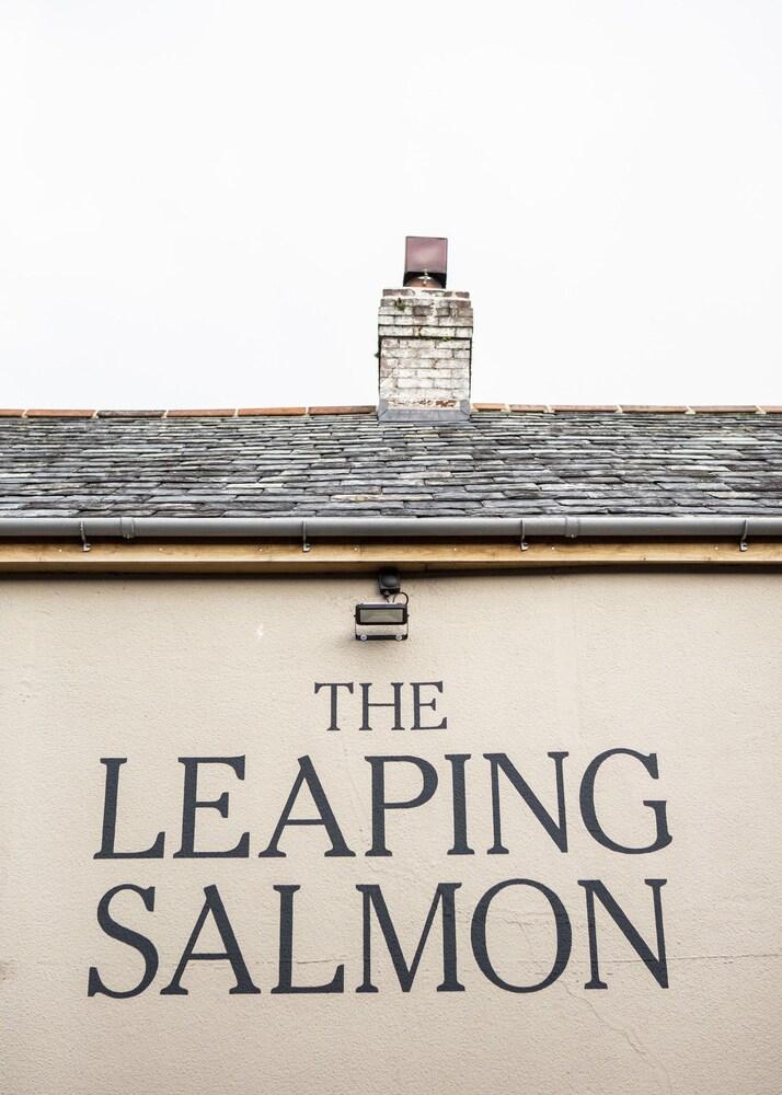 The Leaping Salmon - Featured Image