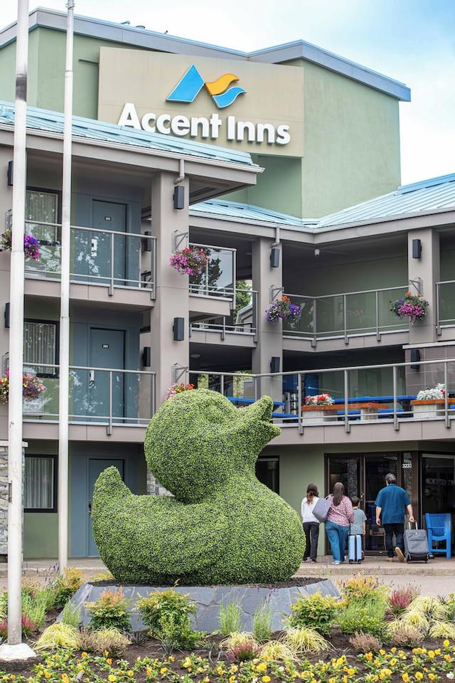 آكسينت إنز فيكتوريا