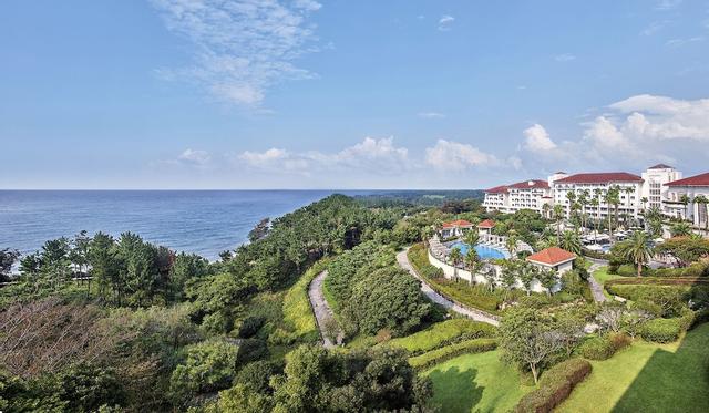 ذا شيلا جيجو