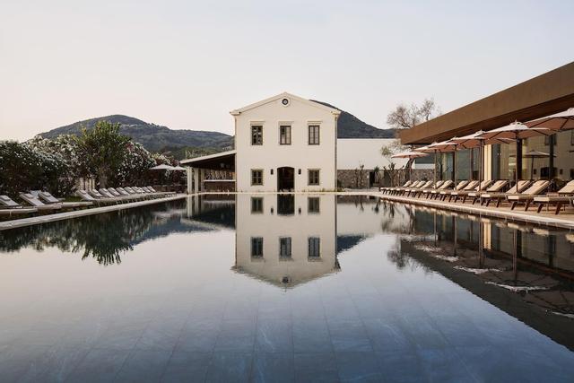 ذي أوليفار سويتس