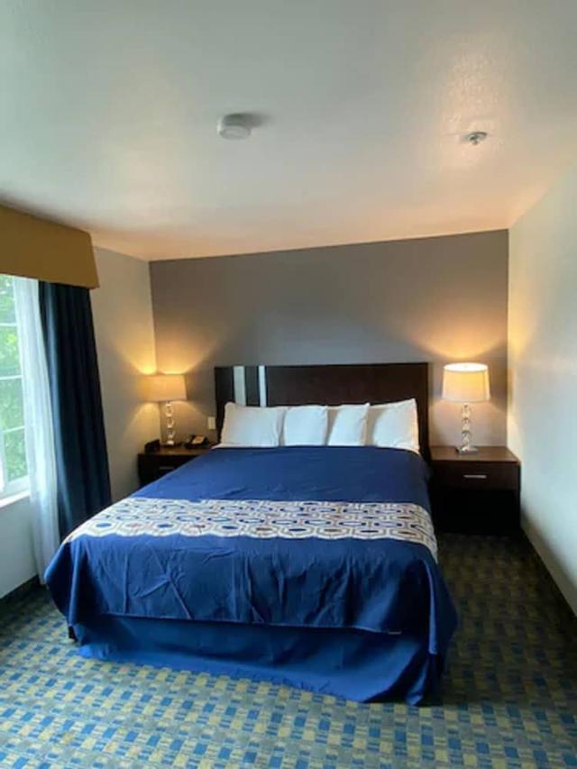 سيليكون واي إن