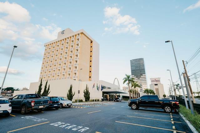 غولدن توليب ساو خوزي دوس كامبوس