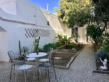The Backyard House