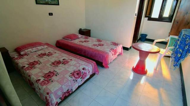 نيو لايف كامب