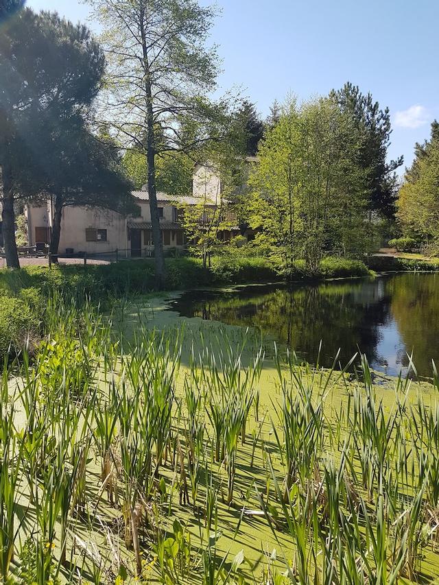 Le Moulin De Charin