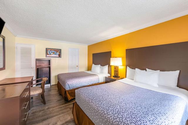 إيكونو لودج بيتش آند بورد ووك