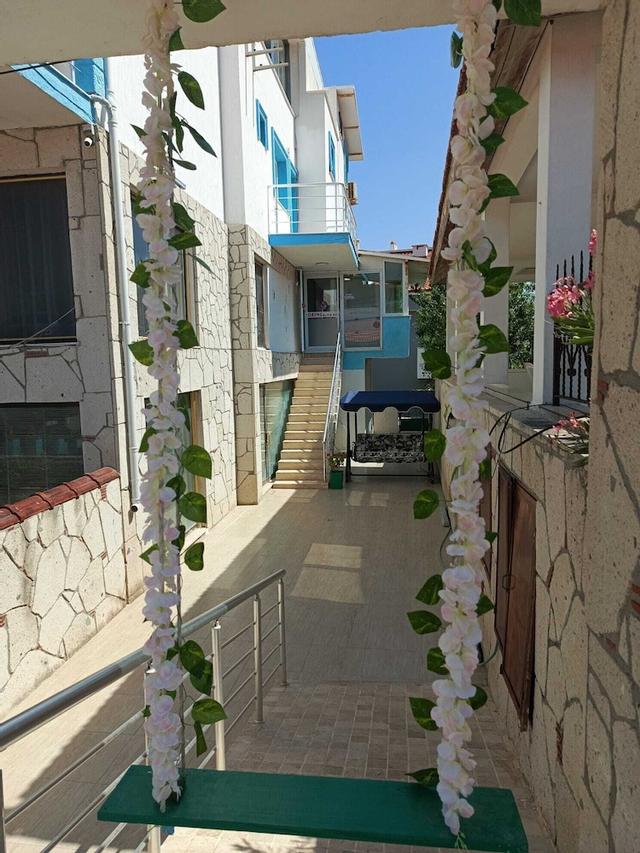 دافن بانسيون