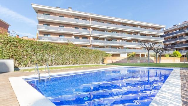Kistars in Lloret de Mar